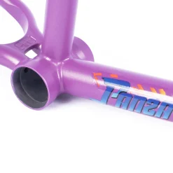 Online CULT CREW 2-Short Panza Frame / purps
